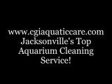 CGI Aquatic Care, Aquarium Cleaning Service, Jacksonville, Florida. 904.588.2700