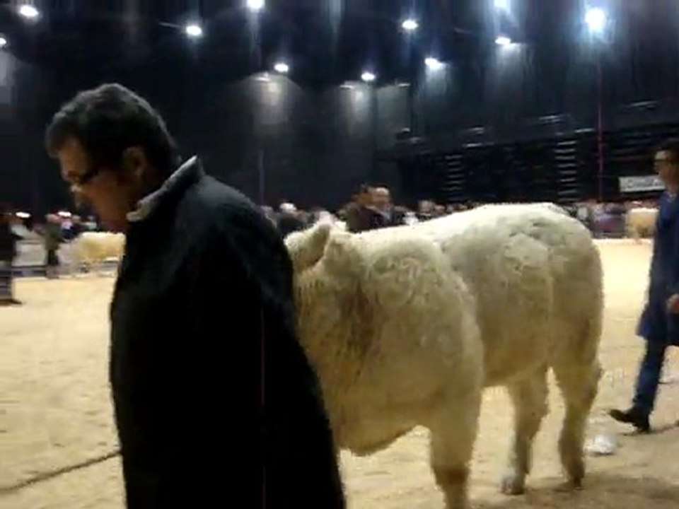 Fête du Charolais au Scarabée Roanne Riorge 2011