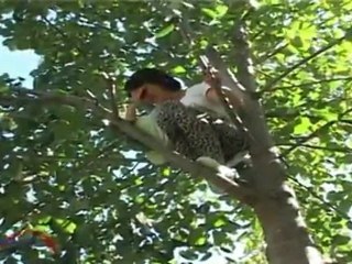 Gëzuar me Lecin - 2012 (pjesa e 10)