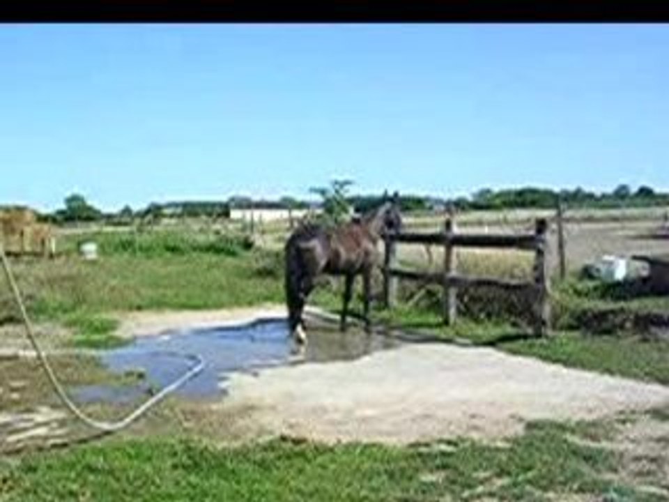 Nina à la douche