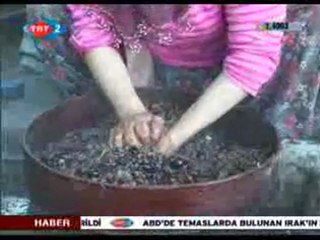 Hayat Akarken - 27.01.2010
