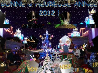BONNE ANNEE 2012 !