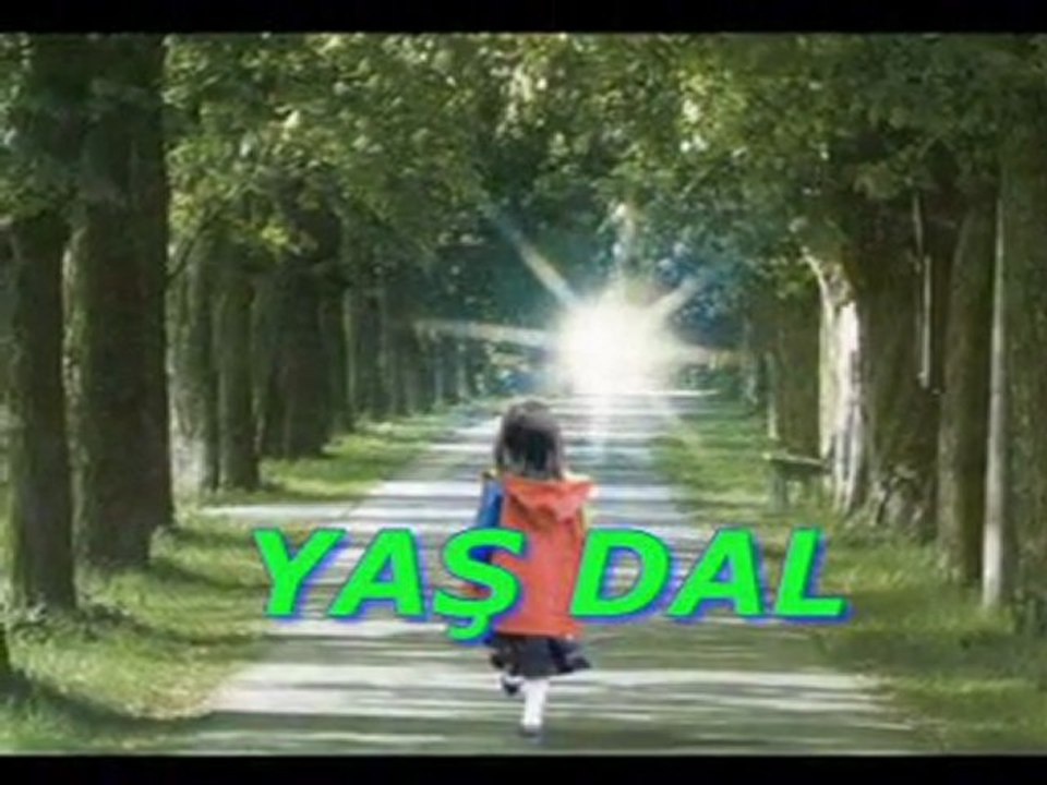 YAŞ DAL