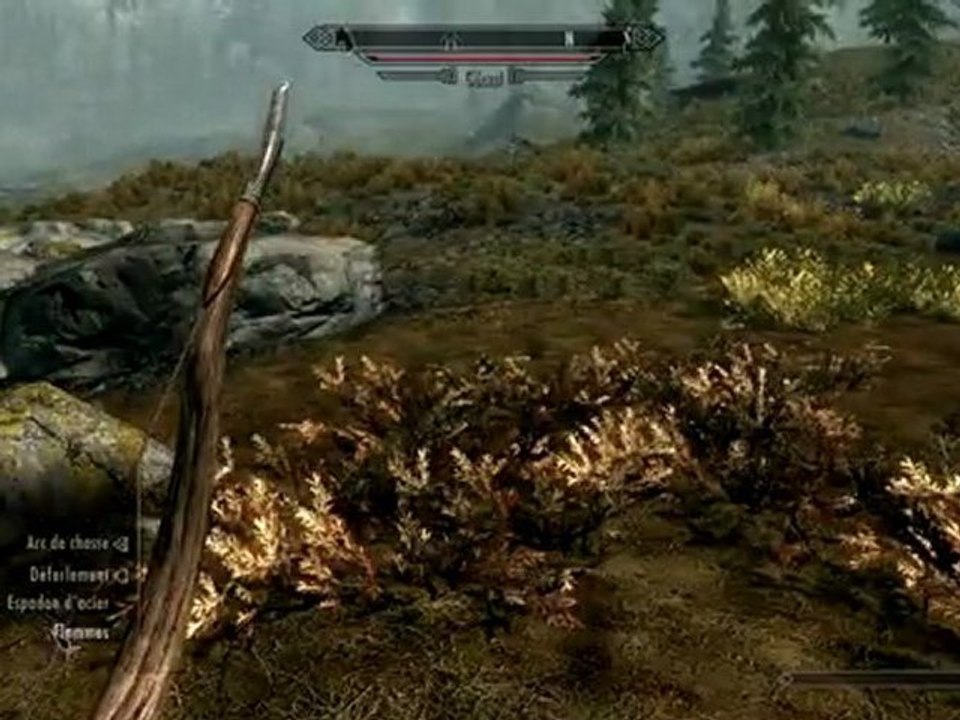 Vidéo délire fin d'année  The Elder Scrolls Skyrim (PC)