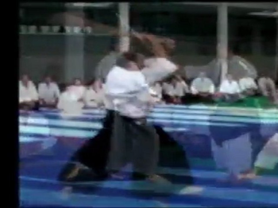 Aikido Michel Erb Best of 2011