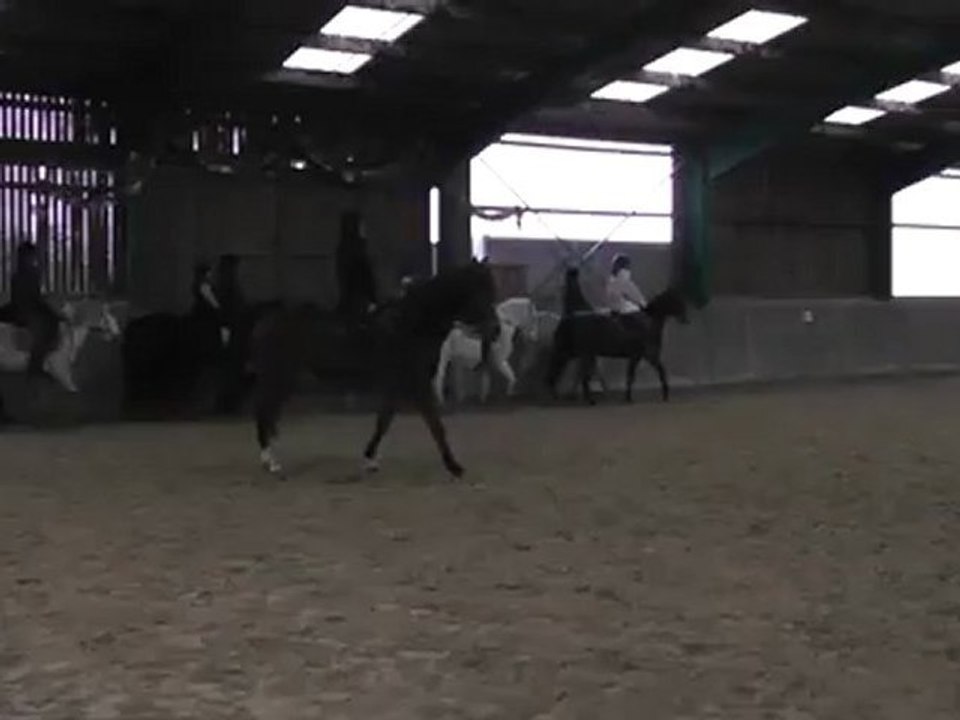 Anne et Lucky
