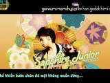 [Vietsub Kara]Super.Junior.5th.Album-04.Walkin'[s-u-j-u.net]