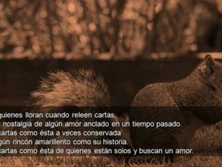 El Poema de las Cartas | Carlos de la Rosa Vidal