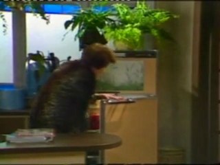 sons and daughters episode 88