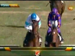 2011.12.31, nº 568 DH (Discoteca B3 (3+, Venta) Dixlesio