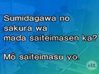Japanese Basic II - 47 - The sakura hasnt bloomed yet has it