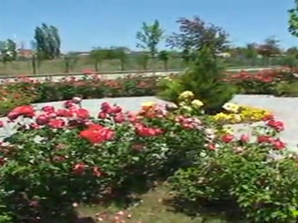 Muhsin Yazıcıoğlu Anısına