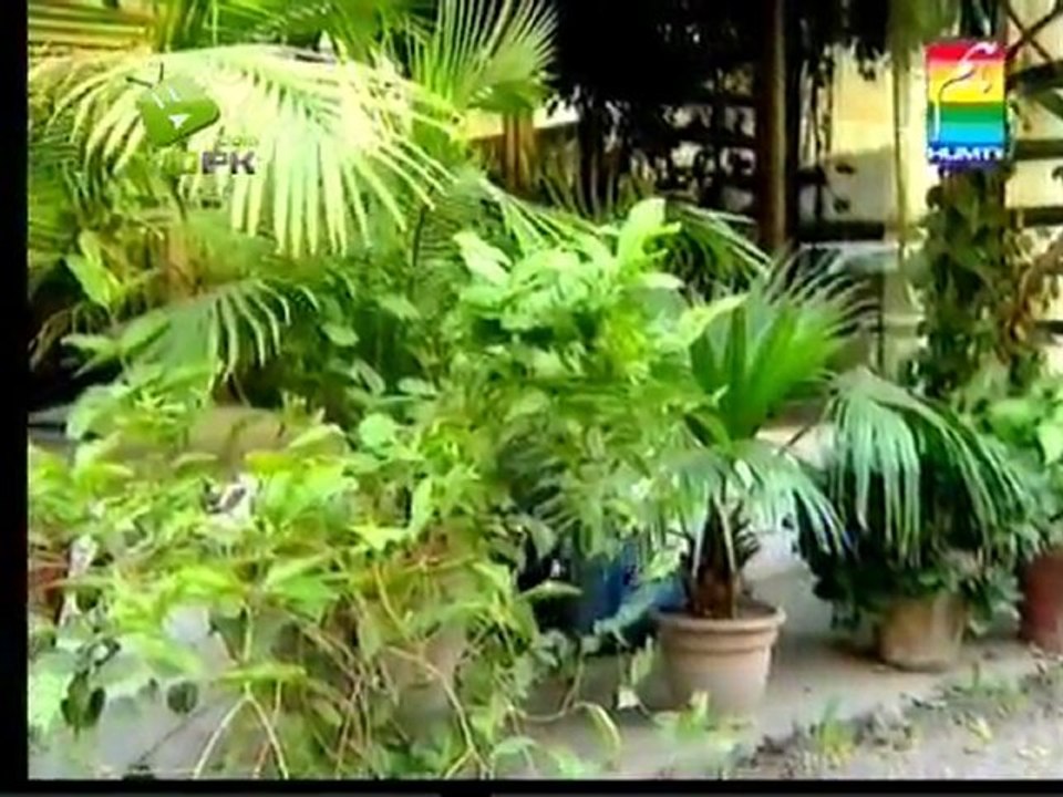 One Way Ticket on Hum Tv - Episode 2b
