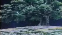 In The End Saint Seiya