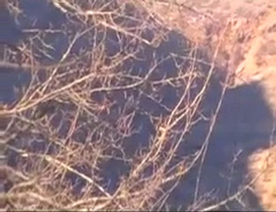 Tunceli'de çatışma anı kamerada