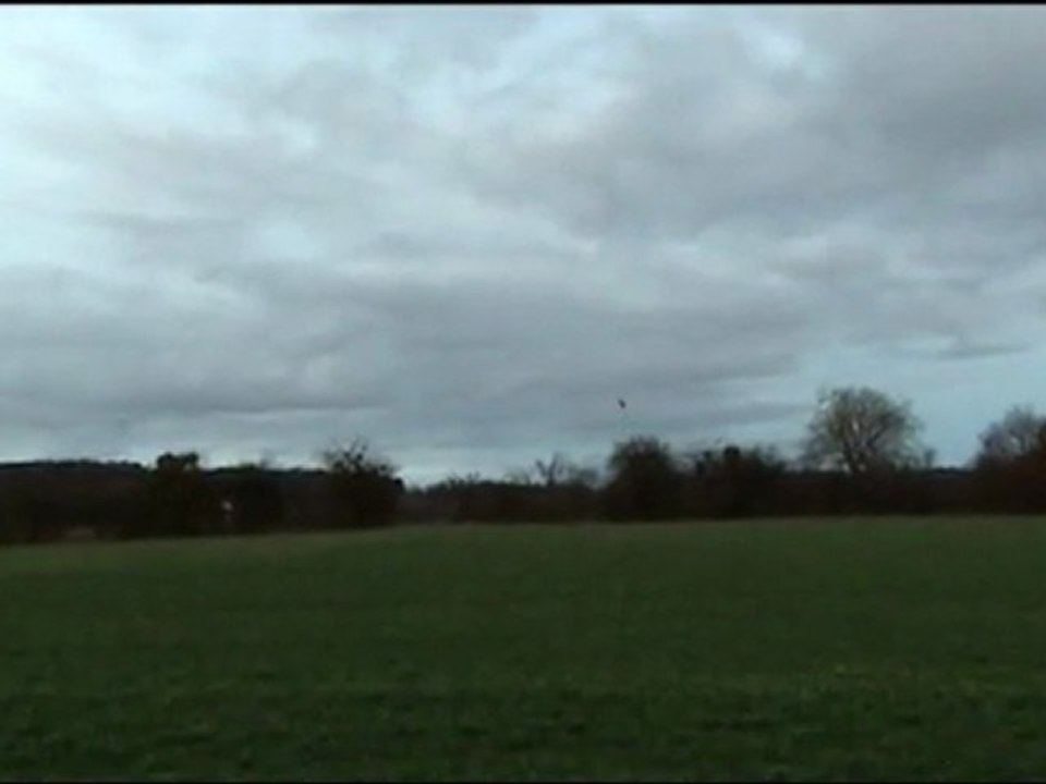 2012_01_01 Trex 450 SE V2_focus_manu