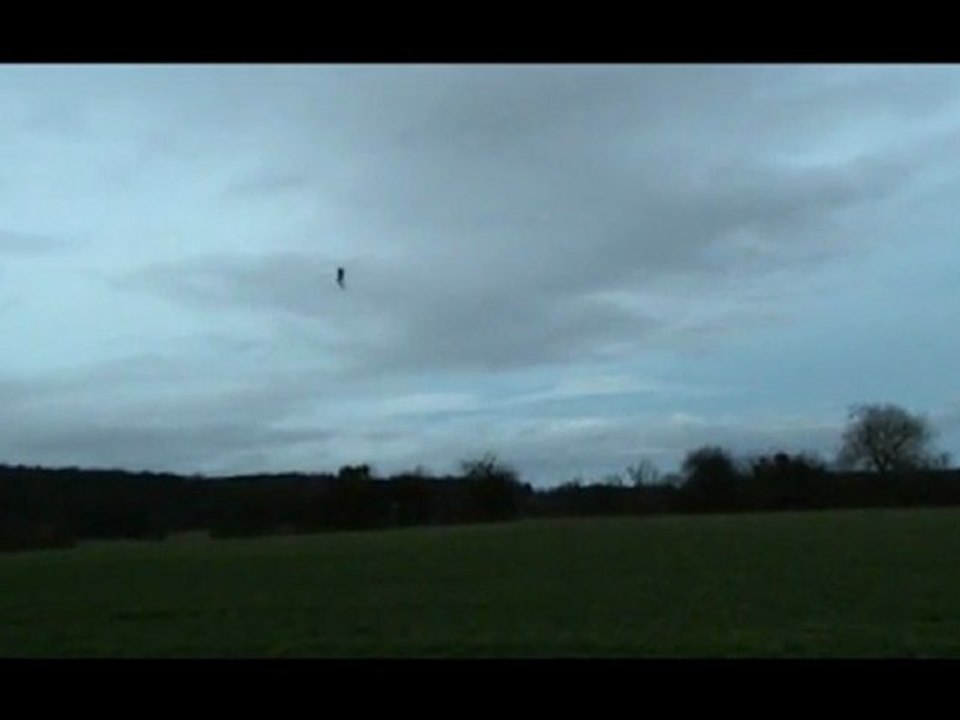 2012_01_01 Trex 450 SE V2_scene_sport