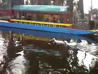 VID-20111230-00059