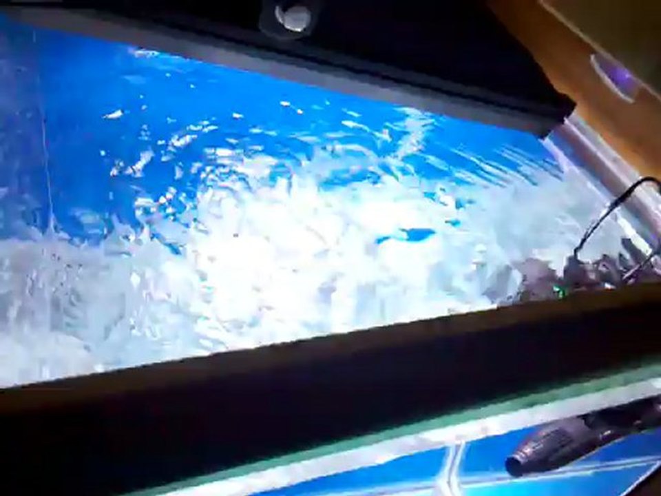 2012-01-01_16-30-56_773
