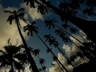 Dreaming Trance Song with Beautiful Nature [Hd]