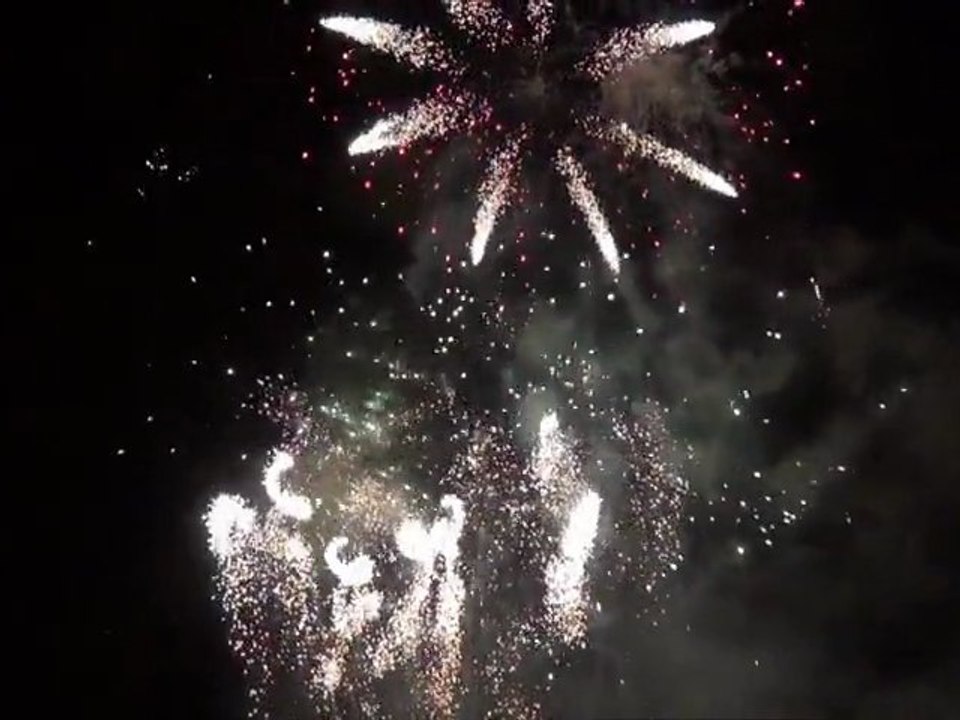 LIÈGE – GRAND FEU D’ARTIFICE DU NOUVEL AN 2012  Liège, Parc Saint-Léonard - ©Michele Chianese 2012