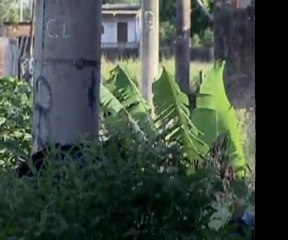 Retrospectiva 2011   Segundo bloco