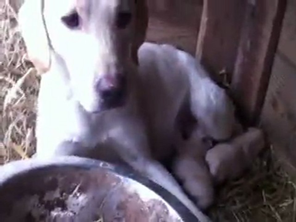 bébé fidji 01/01/12