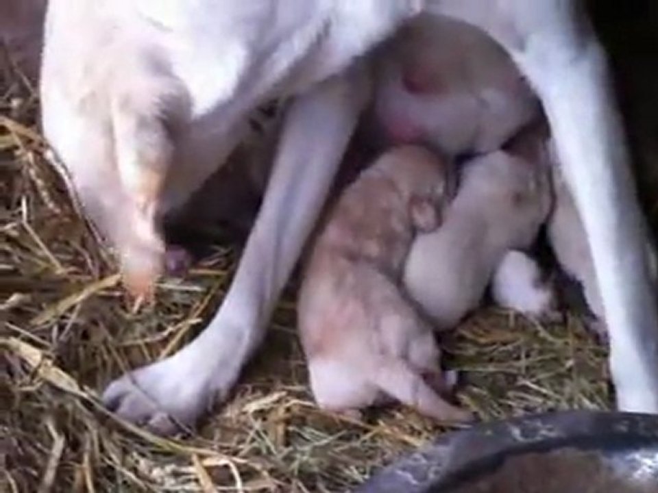 bébé fidji 01/01/12