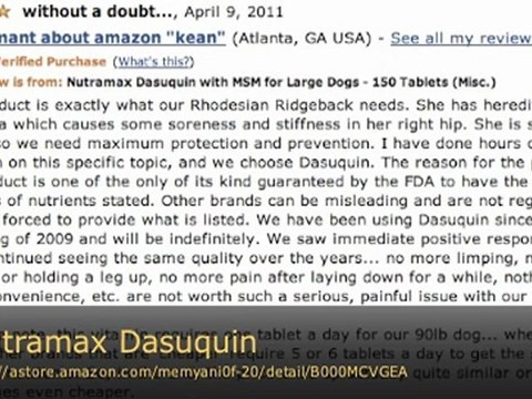Nutramax Dasuquin with MSM for Large Dogs - 150 Tablets