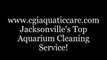 Jacksonville FL. Aquatic Care, Reef Tank Cleaning 904.588.2700. Florida Reef Tank Cleaning