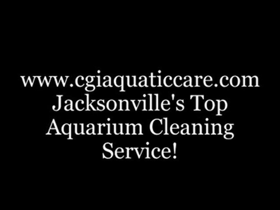 Jacksonville FL. Aquatic Care, Reef Tank Cleaning 904.588.2700. Florida Reef Tank Cleaning