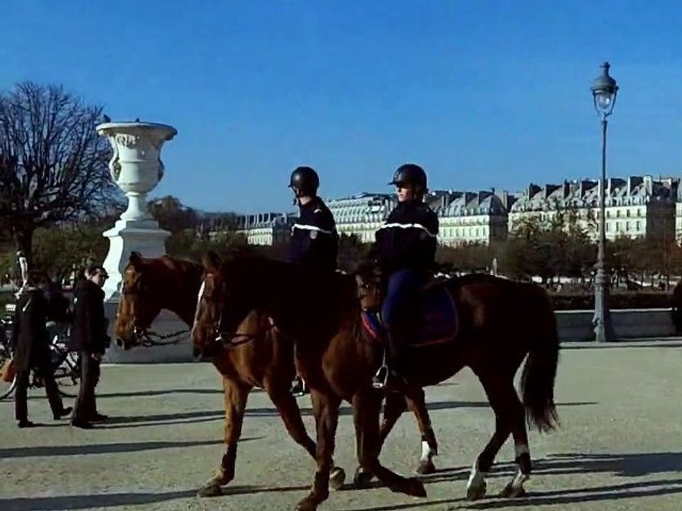Balades Parisiennes - Louvre - Quais de Seine - Ile St Louis - Bastille