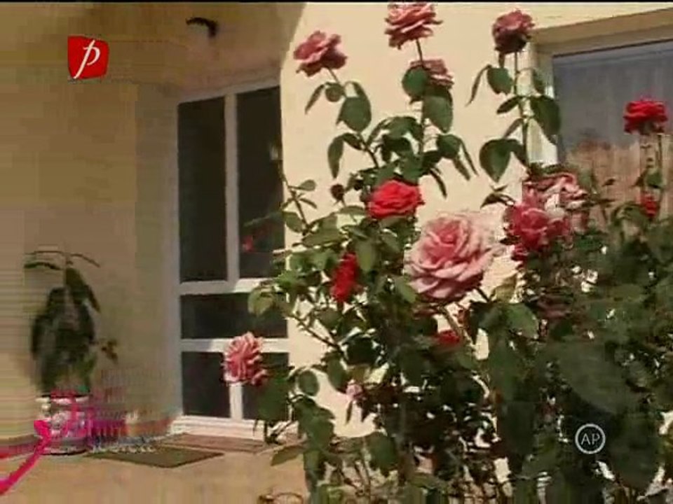 Iubiri Secrete Episodul 18 Sezonul 2