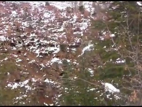 2012 YE GİRERKEN DOLHANLAR