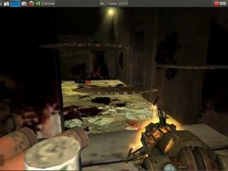 Half-Life 2 on Ubuntu 11.10 (тест)