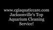 Jacksonville FL. Aquatic Care Clean Fish Tanks 904.588.2700 Aquarium  cleaning Jacksonville, Florida.