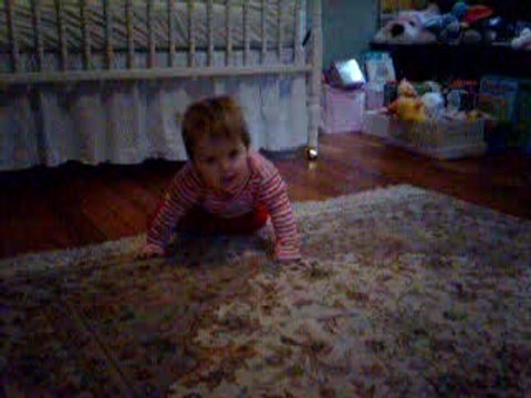 les premiers pas a 4pattes