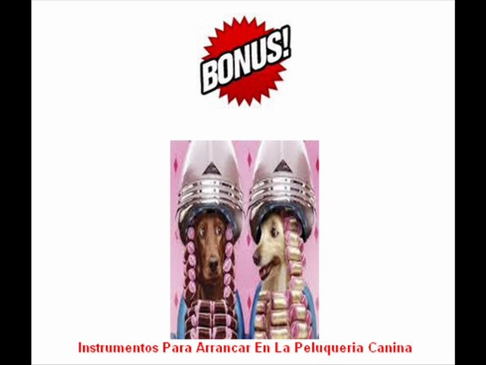 Todo para perros pack canino peluquería adiestramiento confección canina
