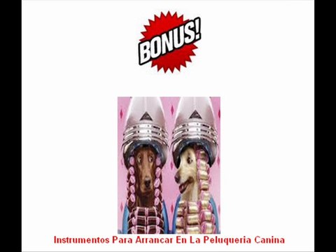 Todo para perros pack canino peluquería adiestramiento confección canina