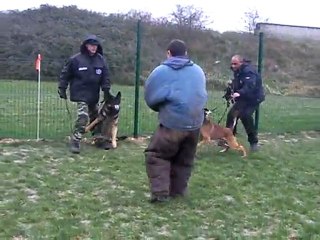 Patrice Foucault formation maître chien