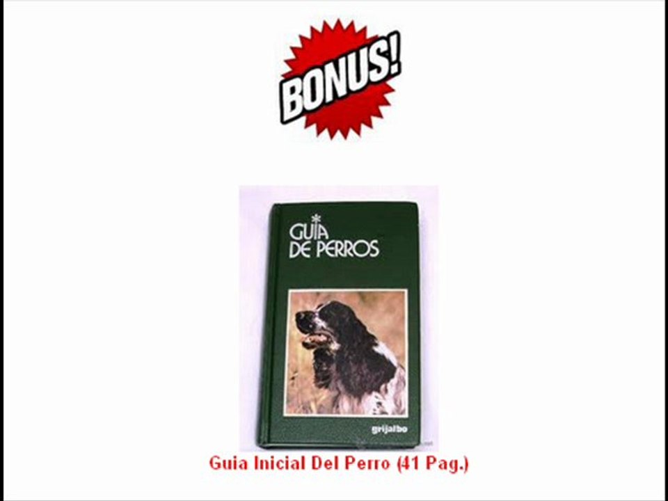 Guía de perros inicial canina