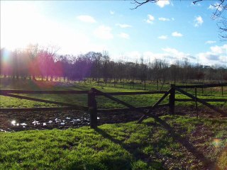 Histoires de clotures