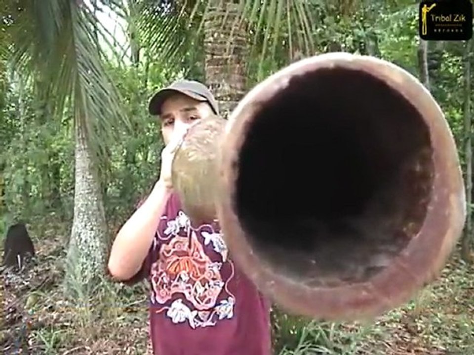 Cours de digeridoo, débuter