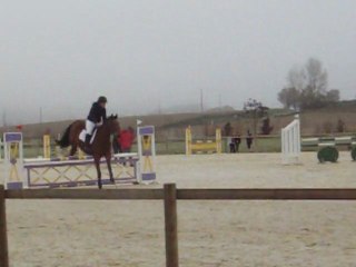 Pauline Clément & Lord de l'Hoste - St Michel 27.11.11 - Club 1 - 5eme