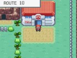 The Pokémon Story : pokémon vert feuille - épisode 7