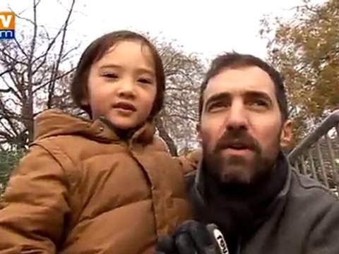 Recycler son sapin de Noël