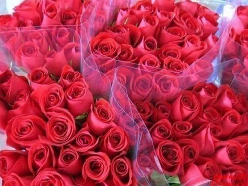 Umudun sonsuzlyunda bie BEKLEMEKTEYİM...Nevin Işık