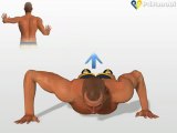 300 Spartan Workout Exercises - Spartans Push Up Exercise