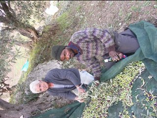 Clandestino Sicile: Superbes Photos 📸