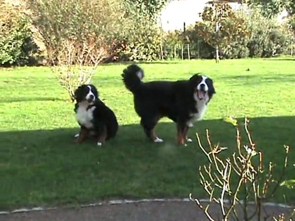 DIEGO ET DANA EN PLEINE ACTION - 2
